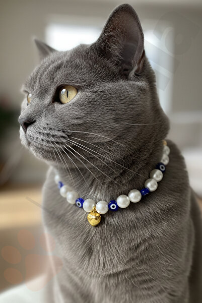 Petella Nazar Boncuklu İncili Zilli Kedi Kolyesi Kedi Boyun Tasması Ayarlanab...