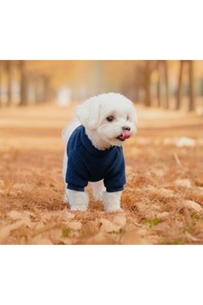 Lokums Welsoft Boğazlı Köpek Kıyafeti Yumuşak Peluş Basic Köpek Kazağı