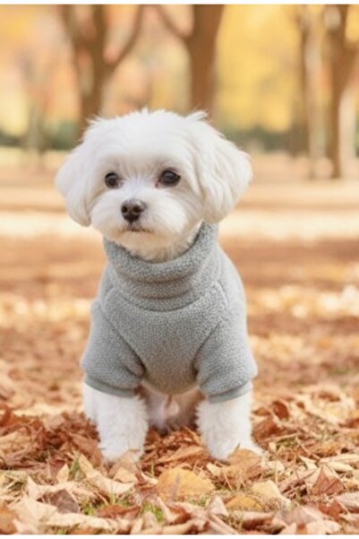 Lokums Welsoft High-Necked Dog Clothes Soft Plush Basic Dog Sweater