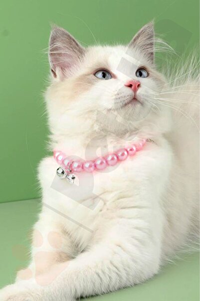 Petella İncili Zilli Kedi Tasması Pembe Gümüş Detay Ayarlanabilir 22-27 cm