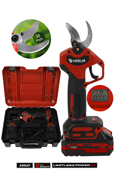 ASSUR Profesyonel 21V Çift Akülü Ağaç Odun Dal Kesme Makinası Şarjlı Dijital ...