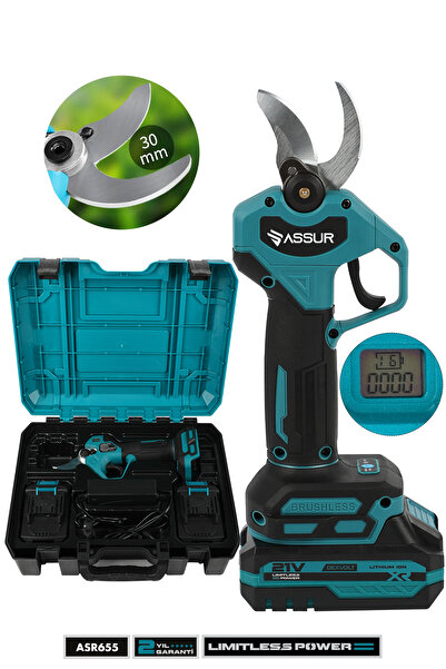 ASSUR Profesyonel 21V Çift Akülü Ağaç Odun Dal Kesme Makinası Şarjlı Dijital ...