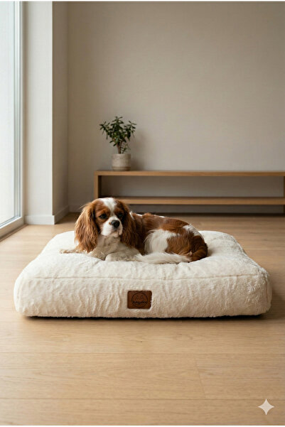 Jungolica Pet Products Max, Ultra Yumuşak, Kaydırmaz Tabanlı, Konforlu Kedi V...