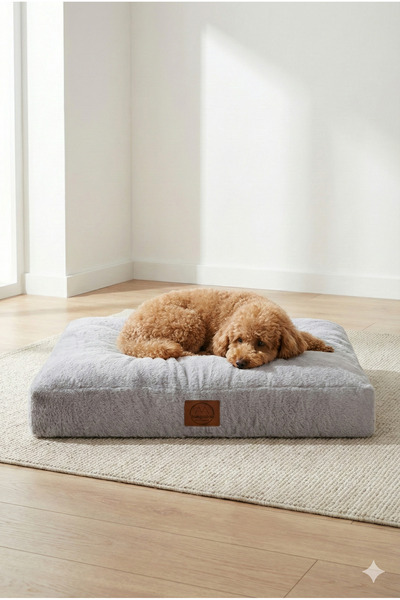 Jungolica Pet Products Max, Ultra Yumuşak, Kaydırmaz Tabanlı, Konforlu Kedi V...