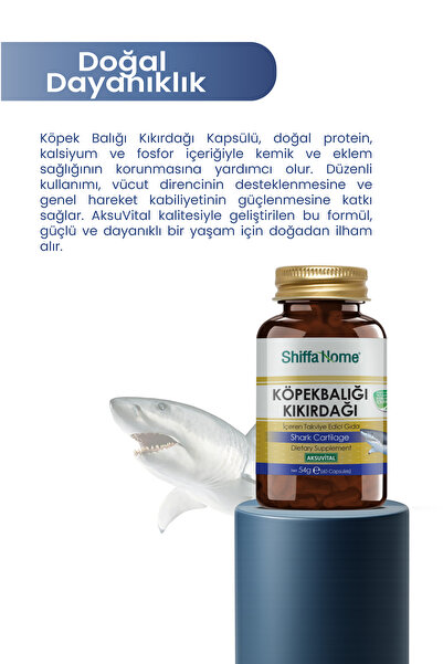 Shiffa Home Aksu Vital Köpek Balığı Kıkırdağı Shark Cartilage Köpekbalığı Kıkırdağı 60 Kapsül