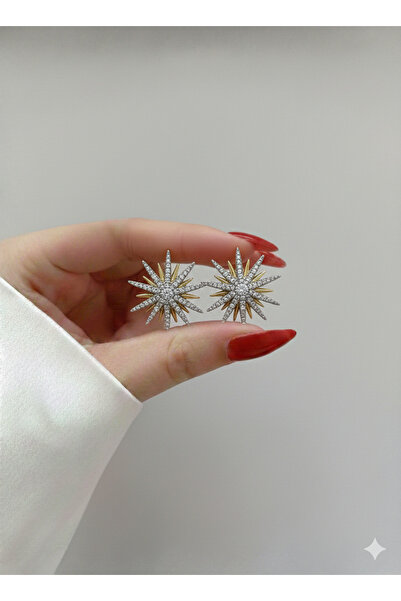 staınless steel Dolena Aksesuar Kutup Yıldızı Lüks Işıltılı Zirkon Taşlı 14K ...