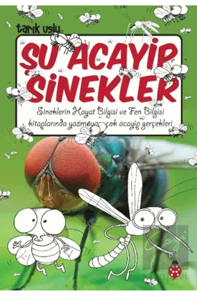 Uğurböceği Yayınları ذباب أكاييب