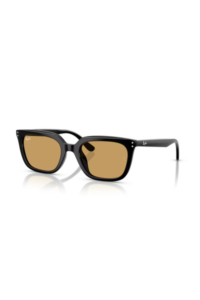 Ray-Ban 0RB4439D 901/73 54 Unisex Güneş Gözlüğü