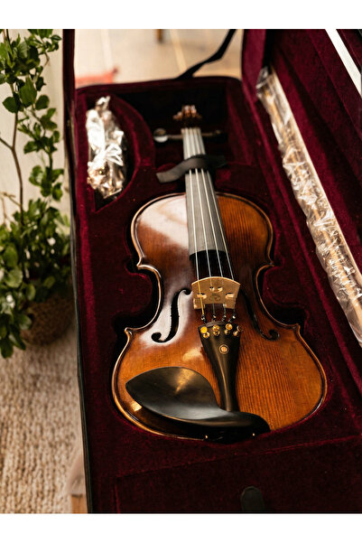 Vivaldi VL-904A 4/4 Keman Seti (Duvar Askısı, Yastık, Reçine)