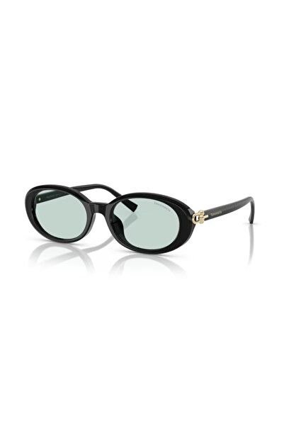 Tiffany Tf4242D 8001D9 54 Women's Sunglasses