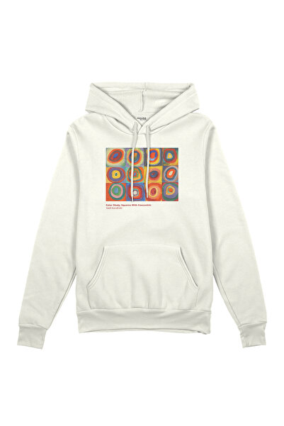The Lucid Lab Color Study, Squares with Concentric Circles Oversized Hoodie -...