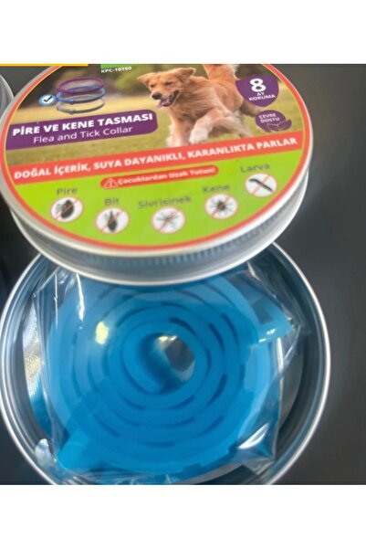 Coffee Köpek bit ve pire boyun tasması