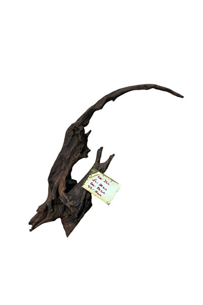 WODDY Mangrove Akvaryum Kökü