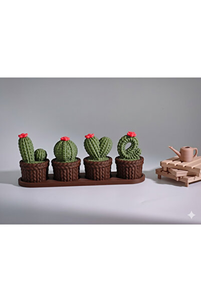 LOVE yazılı kaktüs sevgililer günü