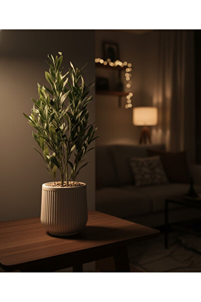 co arma Artificial olive tree mimicking a natural olive tree, with a pot and ...