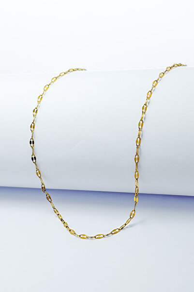 DEARWİSH Gold Color Leaf Model 316L 60 cm Stainless Steel Chain