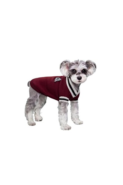 Seven Bird Dog sweater made of soft and comfortable fabric XXXL