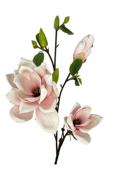 Nettenevime Yapay Çiçek Eva Açık Pembe Manolya 3 Çiçekli Uzun Dal 90cm Gerçek...