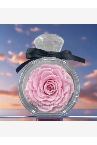 naniland.ro Eternal Rose in Glass – Elegant Gift