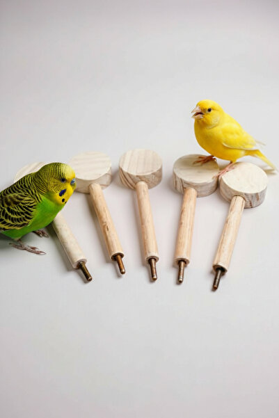 Alyones 5'li Kuş Dinlenme & Aktivite Standı | Ayarlanabilir Kuş Platformu | K...