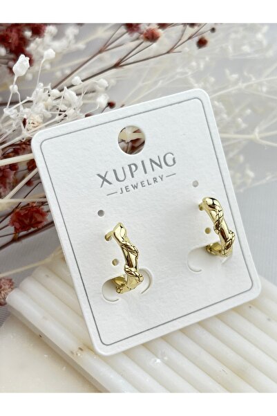 AYLAKAYA Xuping Earrings