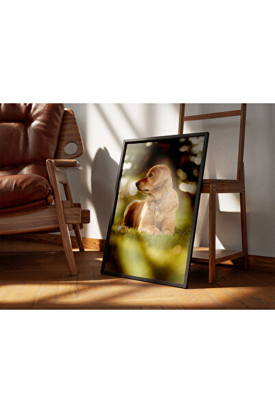 Golden Retriever Köpek Fotoğraf Baskısı - Açık Hava Park Duvar Sanatı - Poster (Çerçevesiz)