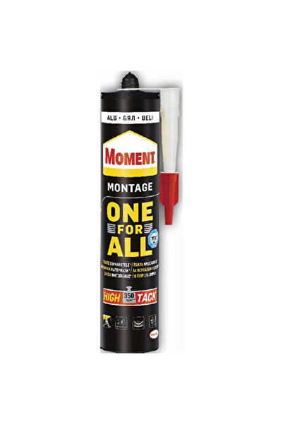 Moment silicon One For All