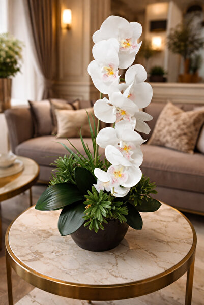 Cennet Home Premium Beyaz Orkide Aranjmanı 60 cm – Siyah Saksıda Lüks Masaüst...