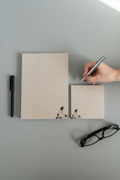 Renkli Zeka Cat Patterned 2-Piece Notepad Set – 110 Gr Thick Paper Notepad (1...