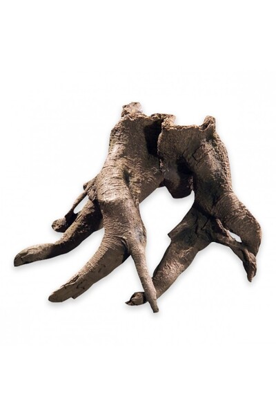 Hobby Backwall Root 1