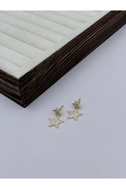 Luseda Vip Gold Stone Star Earrings