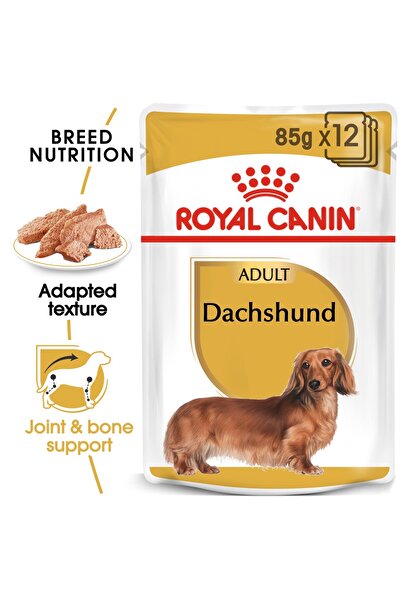 Royal Canin طعام صحي للكلاب البالغة من نوع داشهوند (طعام رطب - أكياس) 12 × 85...