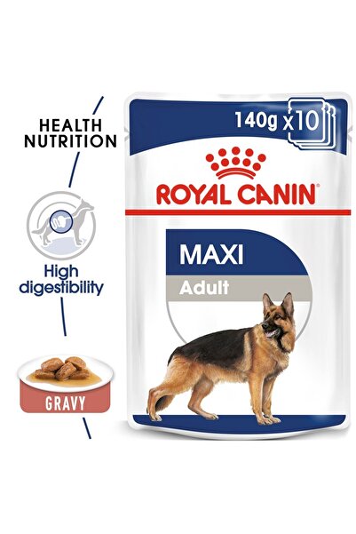 Royal Canin طعام رطب للكلاب البالغة ماكسي - أكياس