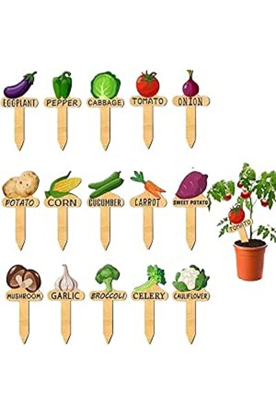 Paporich 15 Pieces of Wooden Vegetable Plant Labels