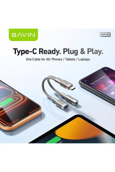 Bavin OTG-65 120W 10Gbps USB 3.1 Aluminium Alloy USB Female to Type c Male Ca...