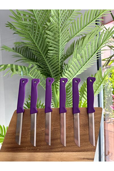 Solingen 6’lı Mat Delikli Meyve Bıçağı Seti(MOR)
