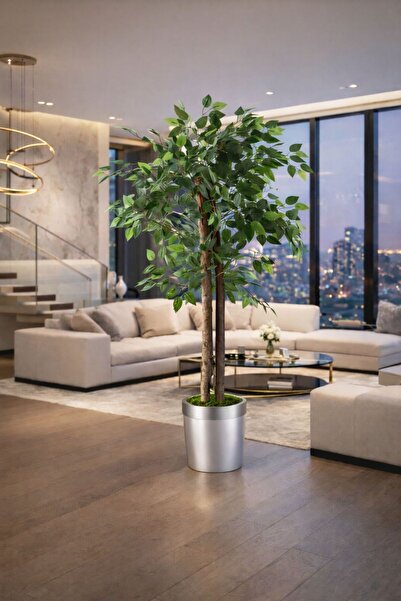 Altun Çiçekcilik Benjamin 150 Cm Lux Metal Saksı Dahildir