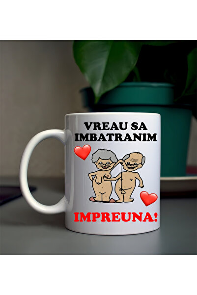 OEM Ceramic mug with funny message "We'll grow old together"