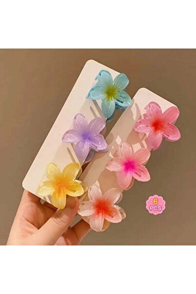Generic Gradient Flower Hair Clip Set 6Pcs