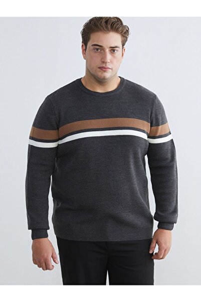 LC Waikiki Crew Neck Striped Men's Knitwear Sweater