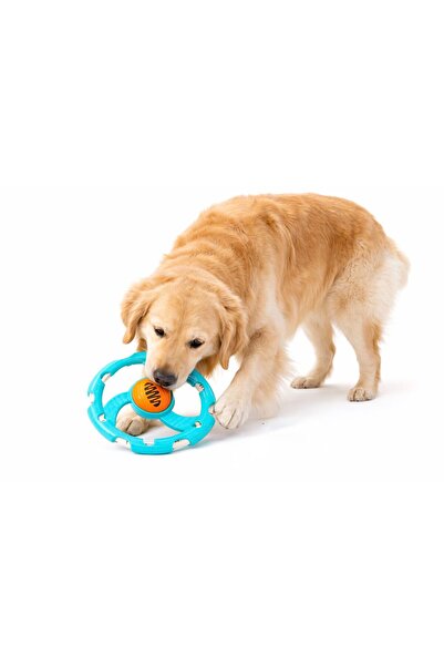 PATICOOL لعبة فريزبي متينة للكلاب مقاس 17 سم - لعبة قفز للكلاب الكبيرة، صوتية...