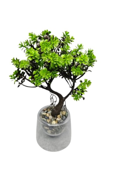 IRILIS Bonsai Artificial Decorativ in Ghiveci Transparent – Planta Artificial...