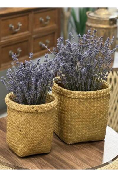 SPR Natural Rattan Basket Set