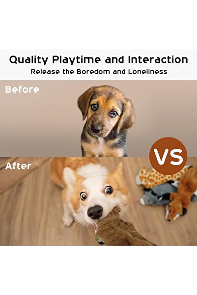 NOCCIOLA 5 pcs Crinkle Dog Squeaky Toys with Double Layer Reinforced Fabric, ...