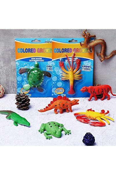 Generic Expandable Sea Creatures Set for Kids