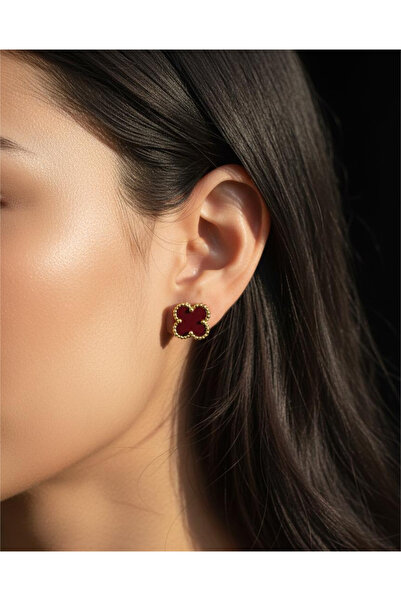 staınless steel Kadın Paslanmaz Çelik 4 Yapraklı Yonca Küpe, Şık Tasarım - Bo...