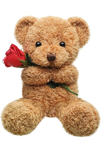 Generic Siyosi Plush Bear with Rose
