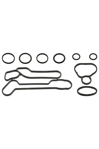 FEBI BILSTEIN 101405 Set garnituri răcitor ulei