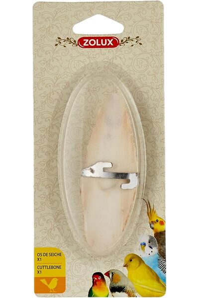 Zolux عظم الحبار + دعامة بيضاء