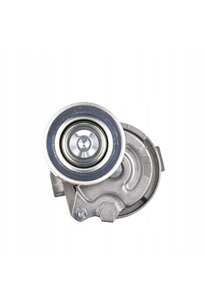 GATES Roletă tensionatoare T39452